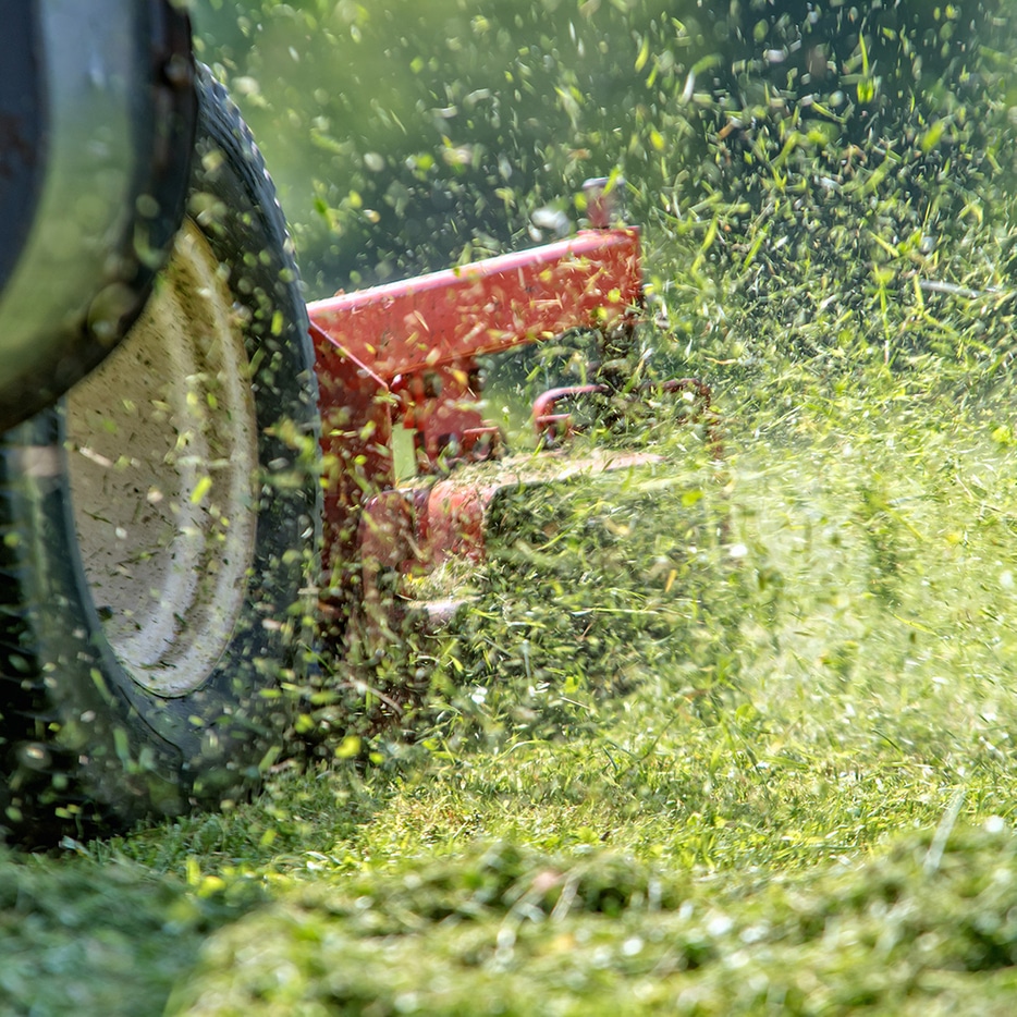 Close-up view of a lawn mower in action.