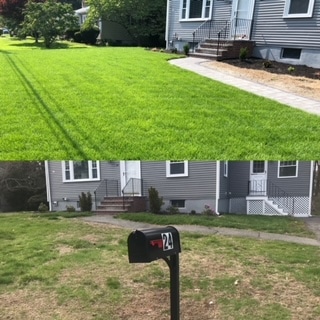 Does Landscaping Have a Good ROI?