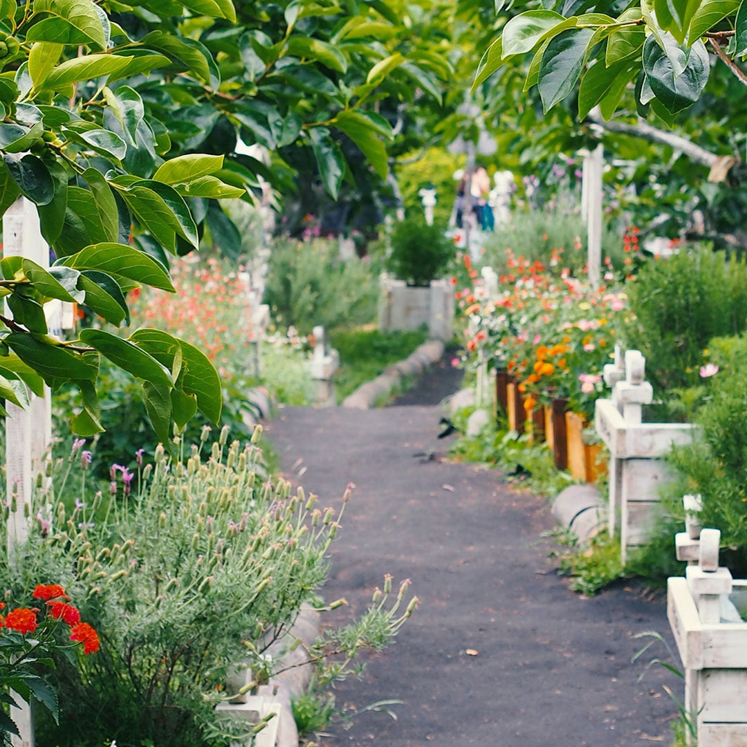 beautifully landscaped pathway