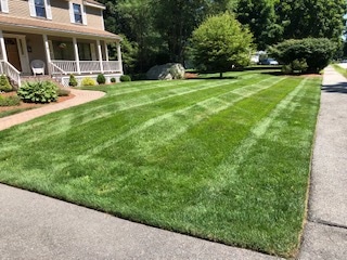 How Often Should I Mow in Wilmington, MA