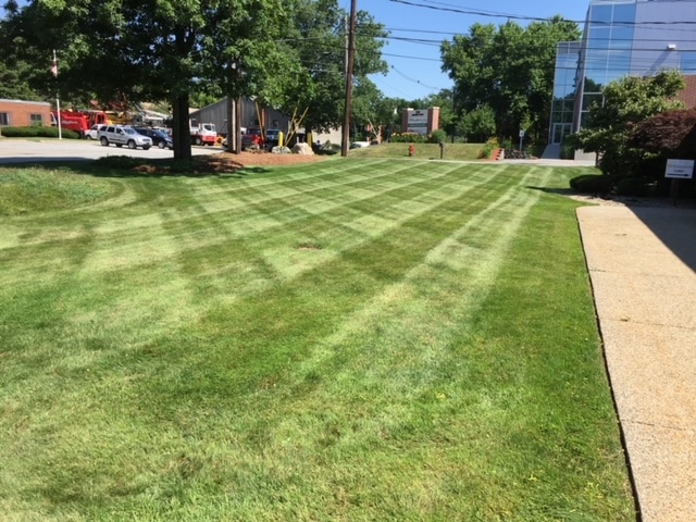 How Much Does a Landscape Maintenance Plan Cost?